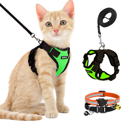 Buraq Pet Supplies Buy Buraq Pet Supplies Online at Best Prices