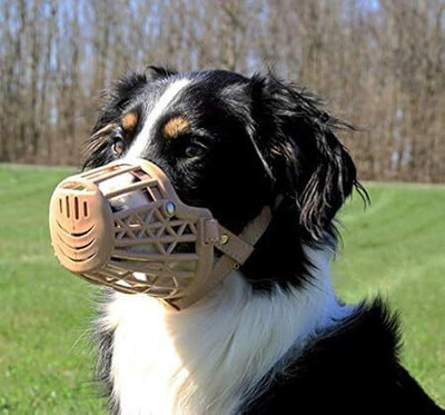 Kids Dog Muzzles Buy Kids Dog Muzzles Online at Best Prices In India Flipkart