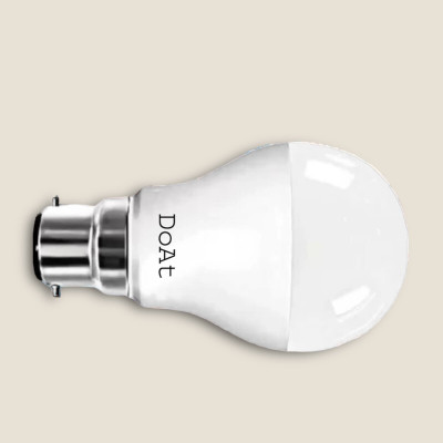 Shalimar light 2025