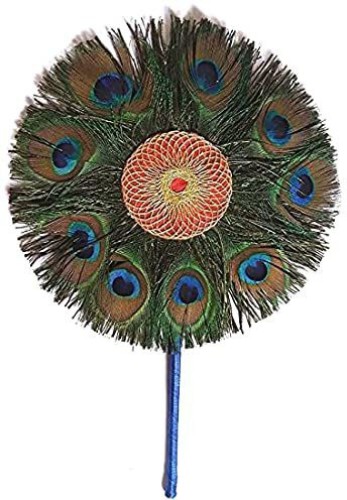 soraj Pack of 12 Decorative Feathers Price in India - Buy soraj