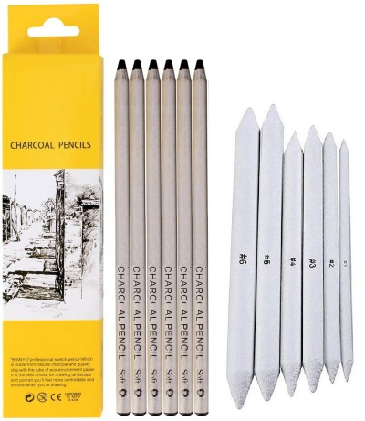 DEZIINE 6pcs Artist Charcoal Pencils Drawing Set Soft Medium  and Hard Charcoal Pencils Pencil 