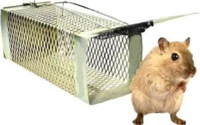 maanya Wooden Rat Trap/Cage/Mouse Catcher/Pinjra Snap Trap Price in India -  Buy maanya Wooden Rat Trap/Cage/Mouse Catcher/Pinjra Snap Trap online at