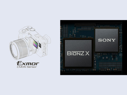 bionz x