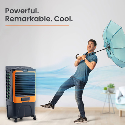 Flipkart offers cooler sales