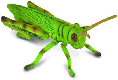 COLLECTA Grasshopper Figure