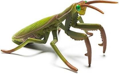 COLLECTA Praying Mantis