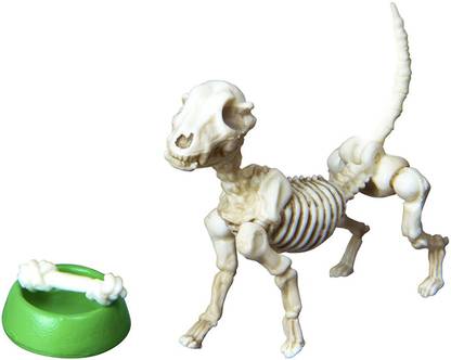 Rement Pose Skeleton Dog (1)