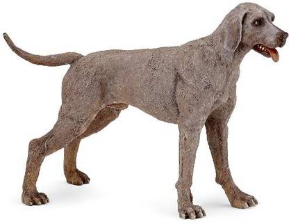 Papo weimaraner