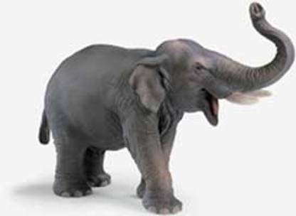 Schleich Indian Elephant