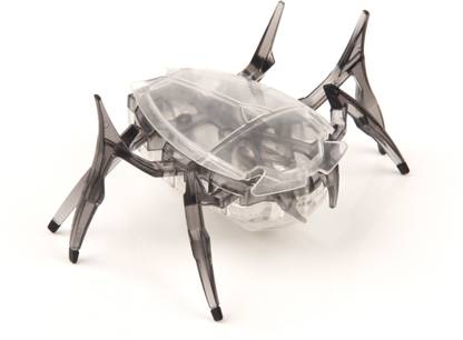 Hex-Bug Scarab