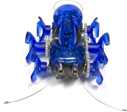 Hex-Bug Ant