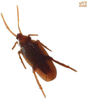 Niceeshop 10 Fake Roaches Prank Novelty Cockroach Bugs Look Real