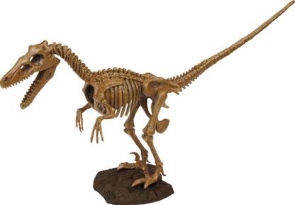 Geoworld Dino Excavation Kit - Velociraptor Skeleton