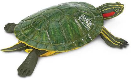 Safari Ltd Red-eared Slider Turtle