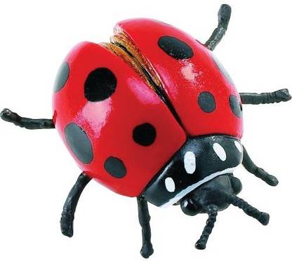 Safari Ltd Hidden Kingdom Insects Ladybug Realistic Hand Painted