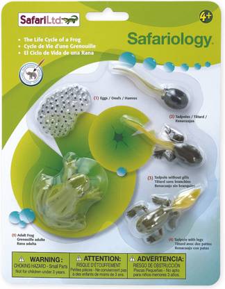 Safari Ltd So Life Cycle of a Frog - So Life Cycle of a Frog . Buy ...