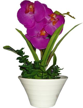 Imported Purple Orchids Artificial Flower  with Pot