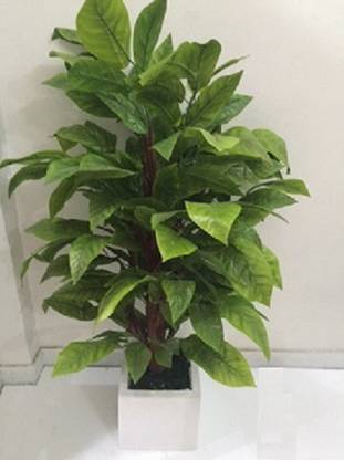 THE GREENHOUSE Artificial Plant  with Pot