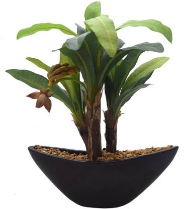 Shrih Banana Bonsai Artificial Plant  with Pot