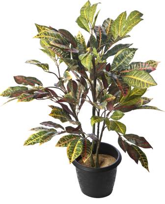 Kusal 2 croton Wild Artificial Plant  with Pot