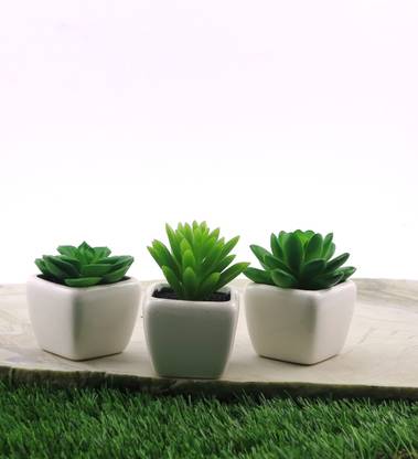 Importwala Mini Cactus Succulent Desert Plant - Set Of 3 Artificial Plant  with Pot