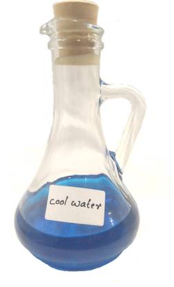 ahaans Cool Water 12 ML Floral Attar