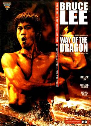Way Of The Dragon