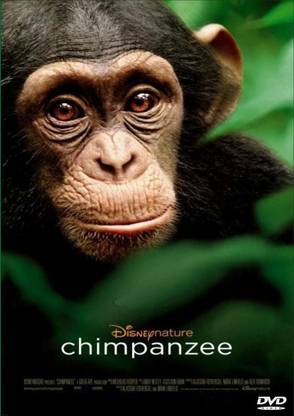 Chimpanzee Price in India - Buy Chimpanzee online at Flipkart.com