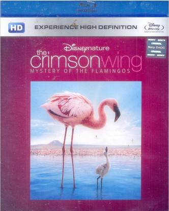 The Crimson Wing - Mystery Of The Flamingos