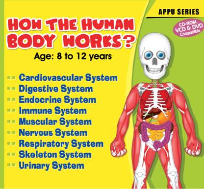 How The Human Body Works?