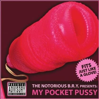 My Pocket Pussy