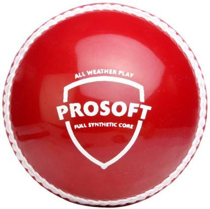 SG Prosoft Cricket Leather Ball