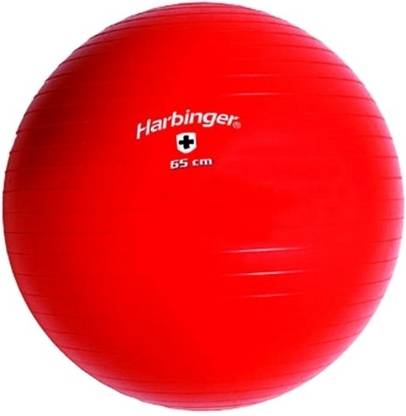 Harbinger 365510 Training Gym Ball