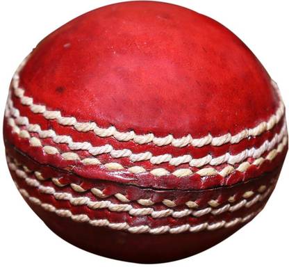 Priya Sports 2825A Cricket Leather Ball