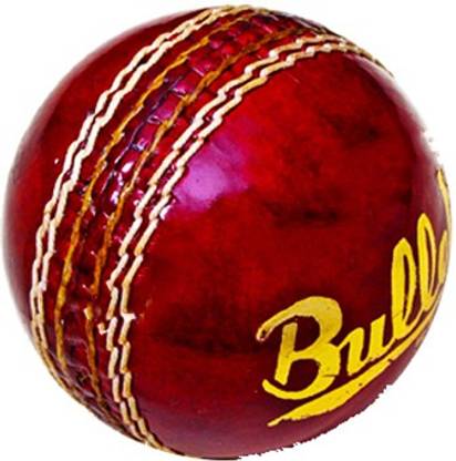 BDM Bullet Cricket Leather Ball