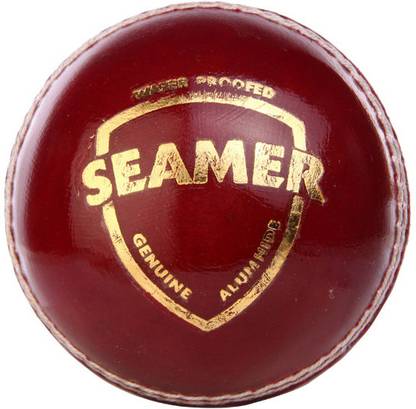 SG Seamer Cricket Leather Ball