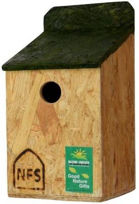Nature Forever Common Bird Feeder