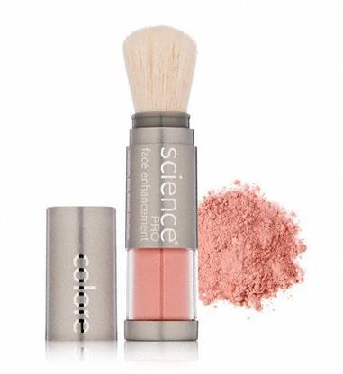 Cocoshop Mineral Blush Powder Brush - Fair - Apple of My Eye