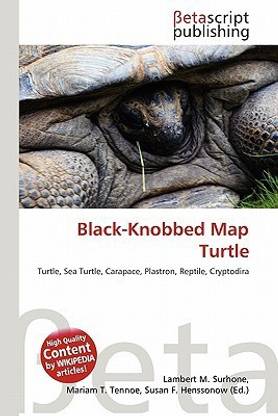 Black-Knobbed Map Turtle