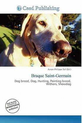 Braque Saint-Germain