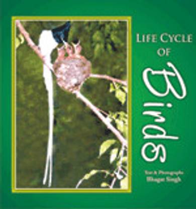 Life Cycle of Birds  - Book of Indian birds