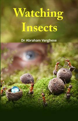 Watching Insects (Colored)