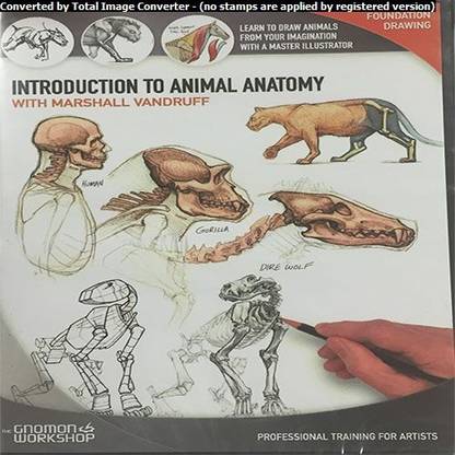 Introduction to Animal Anatomy