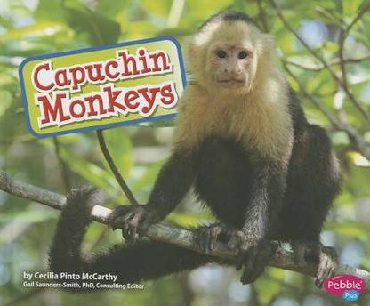 Capuchin Monkeys