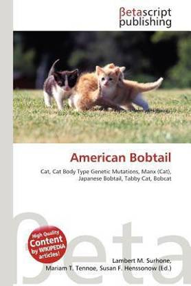 American Bobtail