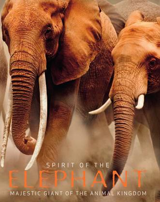 Spirit of the Elephant