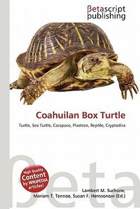 Coahuilan Box Turtle