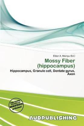 Mossy Fiber (Hippocampus)