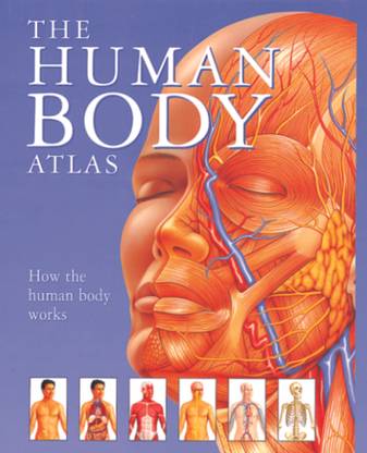 The Human Body Atlas
