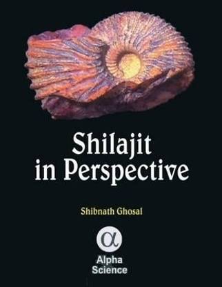 Shilajit in Perspective